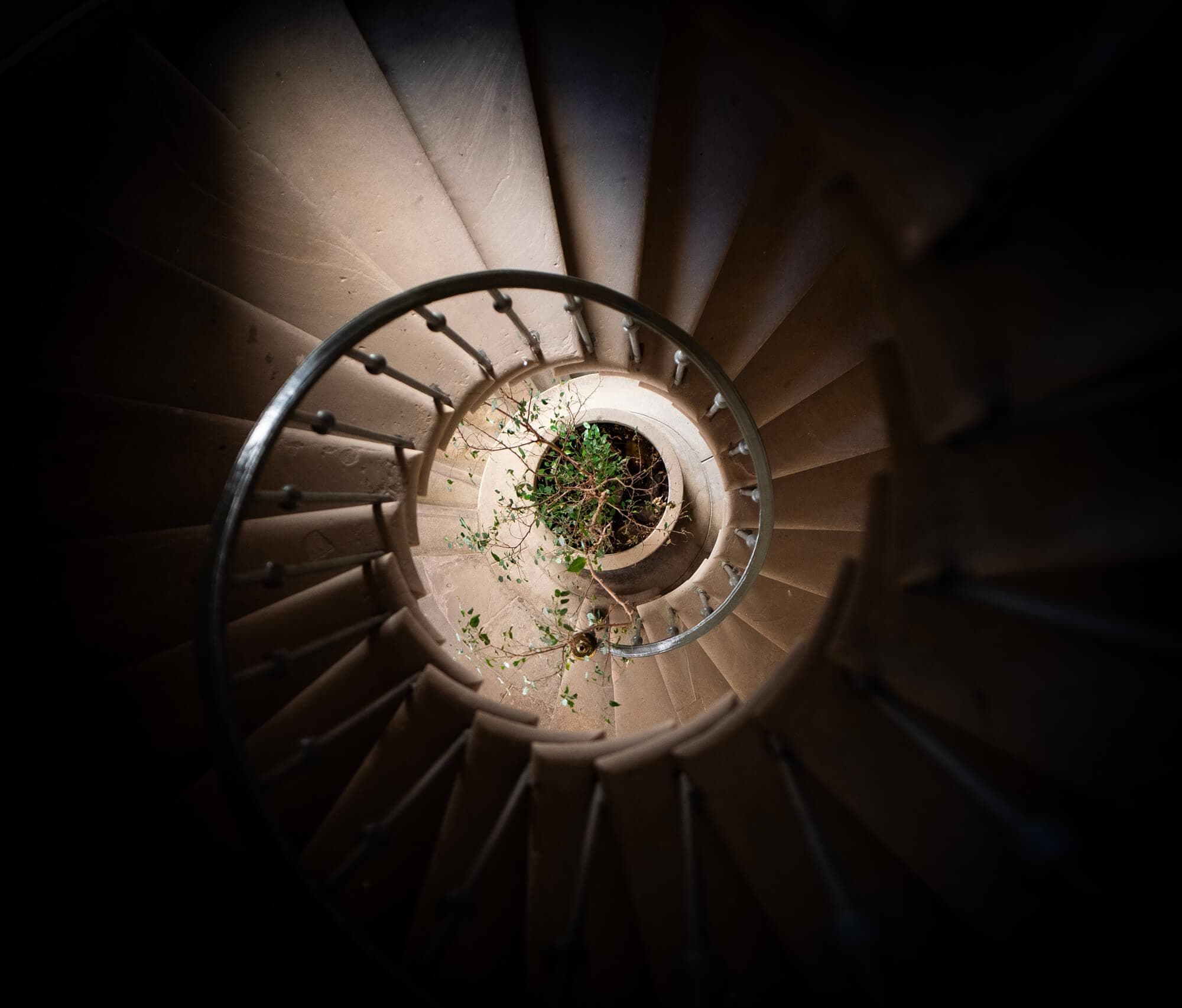 Calodae, Plombières-les-Bains, Vosges Secrètes Calodae, Plombières-les-Bains, Vosges Secrètes